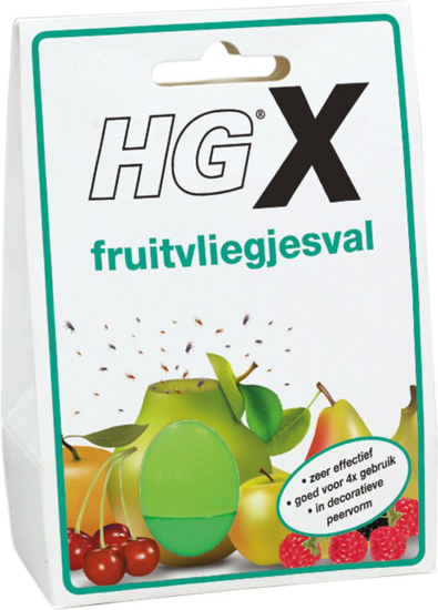 HGX FRUITVLIEGJESVAL 1 ST  3353070