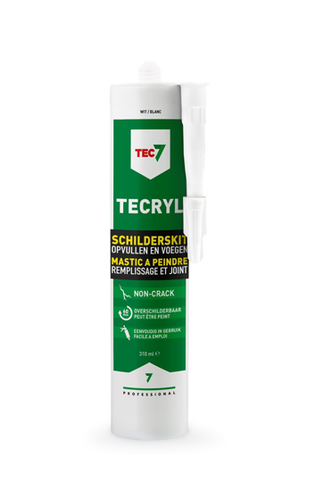 TECRYL PROFESSIONELE SCHILDERSKIT PATROON 310ML 528100000 3356339