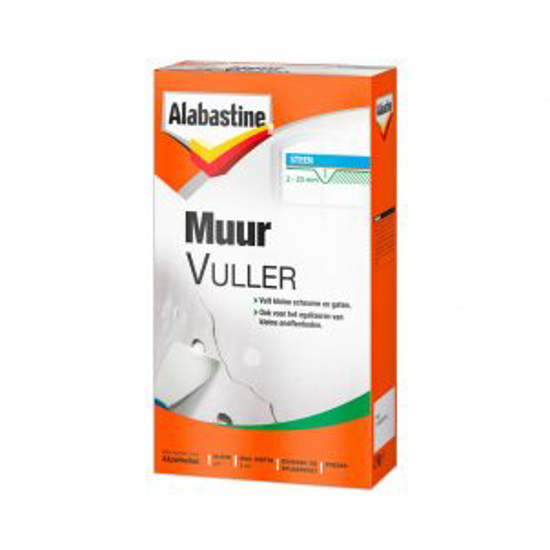 Afbeeldingen van ALABASTINE MUURVULLER (POEDER) WIT 500GR