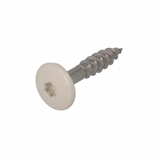 Afbeeldingen van DAK&GEVEL KLEURKOPSCHROEF RVS-A2 BEIGE RAL1013 4.8X25 (50)