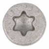 Afbeeldingen van DYNAPLUS BESLAGSCHROEF AR-SILVER PK-7MM TX-20 4.0X40 (200)