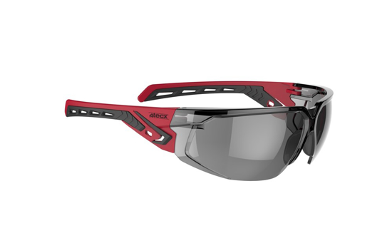 Afbeeldingen van VEILIGHEIDSBRIL IRIS SMOKE 4T