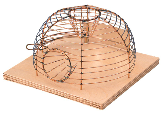 Afbeeldingen van LUNA MUIZENVAL KORF