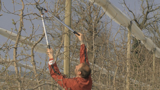 Afbeeldingen van BAHCO TAKKENSCHAAR BYPASS LANG 80CM
