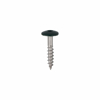 Afbeeldingen van HPL SCHROEF RVS-A2 TX-20 CHOCOLADEBRUIN RAL8017 4.8X25 (100)