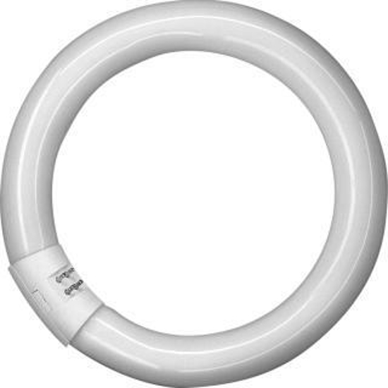 Afbeeldingen van OSRAM CIRKEL L LAMP T9 32W/840