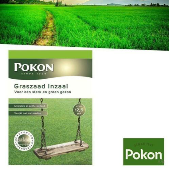 Afbeeldingen van POKON RPR GRASZAAD INZAAI 500GR