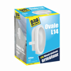 Afbeeldingen van BULKHEAD OVALE L14 LED ARMATUUR 6W 4000K 420LM 17CM