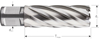 Afbeeldingen van HSS KERNBOOR SILVER-LINE, WELDON 19, ø20X55
