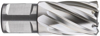 Afbeeldingen van HSS KERNBOOR SILVER-LINE, WELDON 19, ø24X30