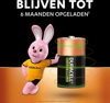 Afbeeldingen van DURACELL RECHARGEABLE NIMH 1,2V 3000MAH D BLISTER A 2ST